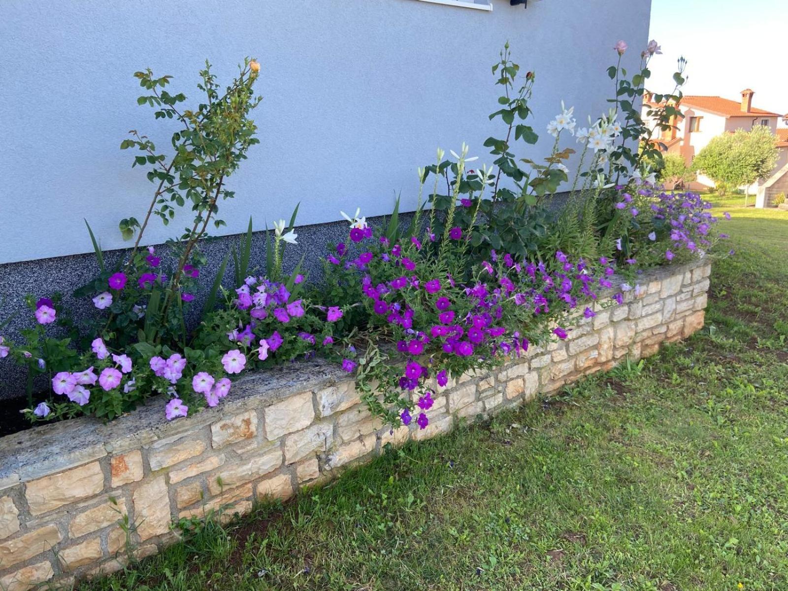 Holiday Home Mihaela Višnjan Екстериор снимка