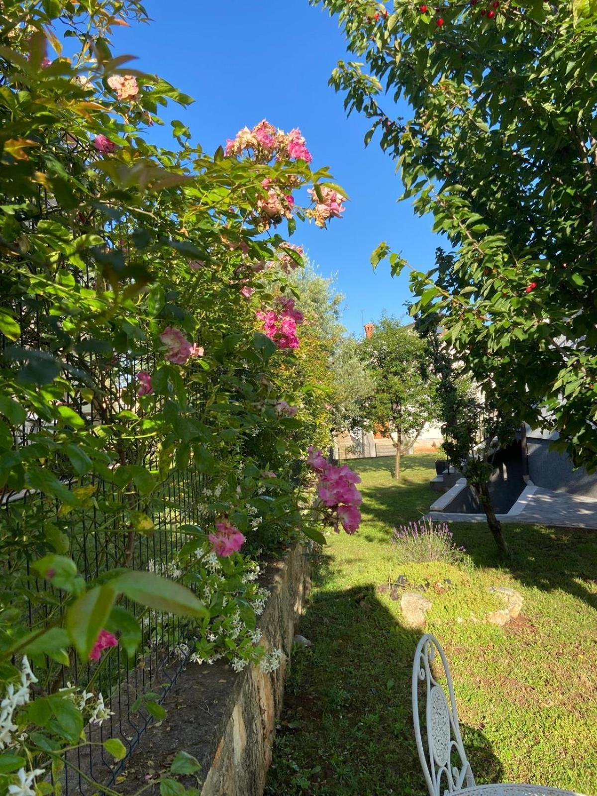 Holiday Home Mihaela Višnjan Екстериор снимка