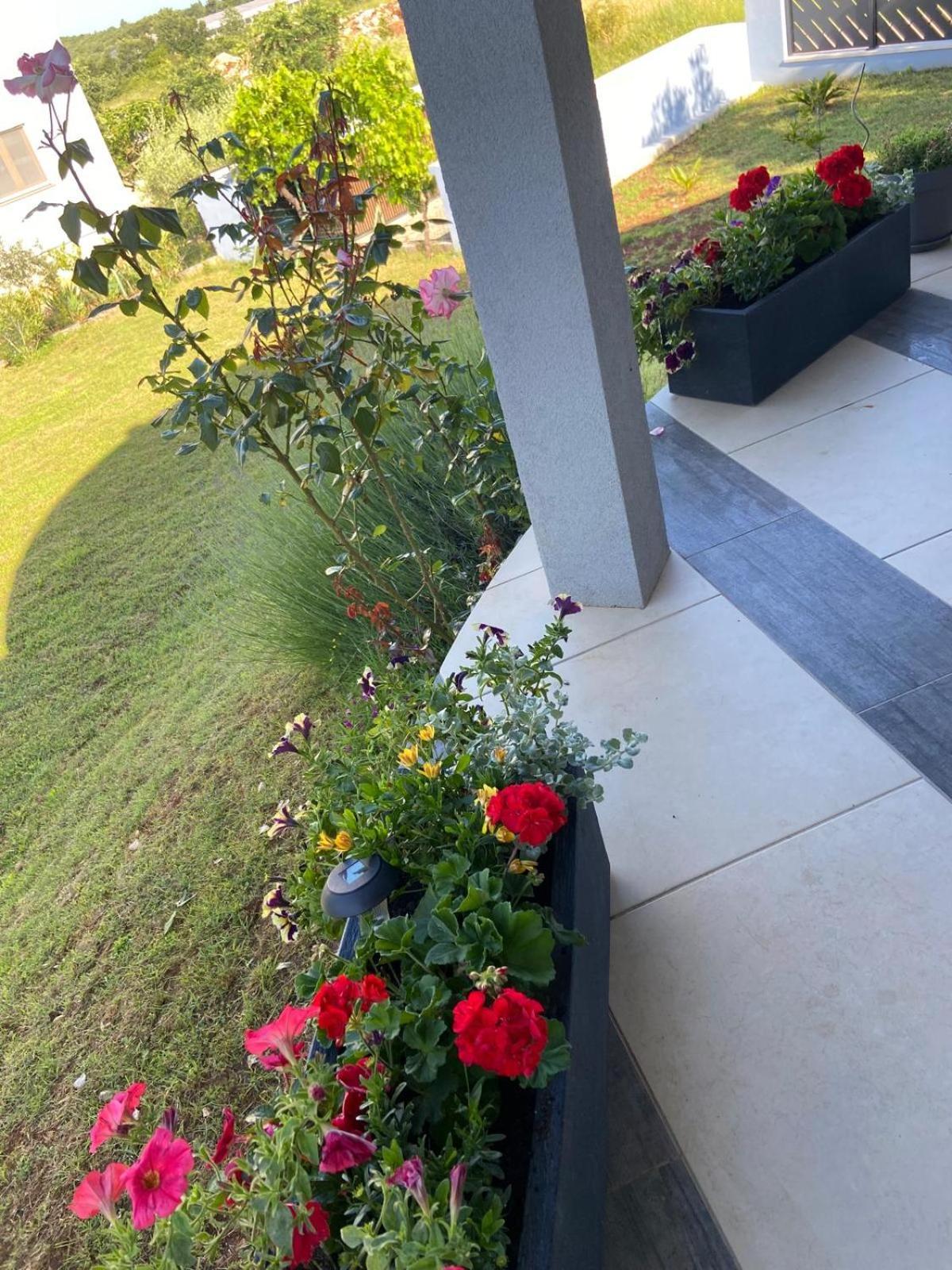 Holiday Home Mihaela Višnjan Екстериор снимка